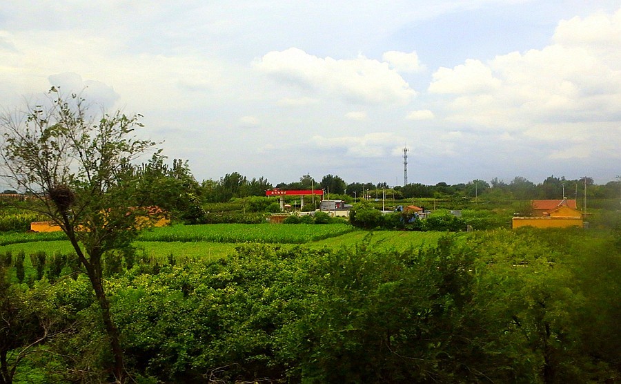 《不老松：纪实摄影》【大美河山系列报導】三游东戴河！ (105)回程路景！