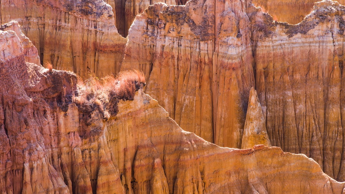元 谋 浪 巴 铺 土 林