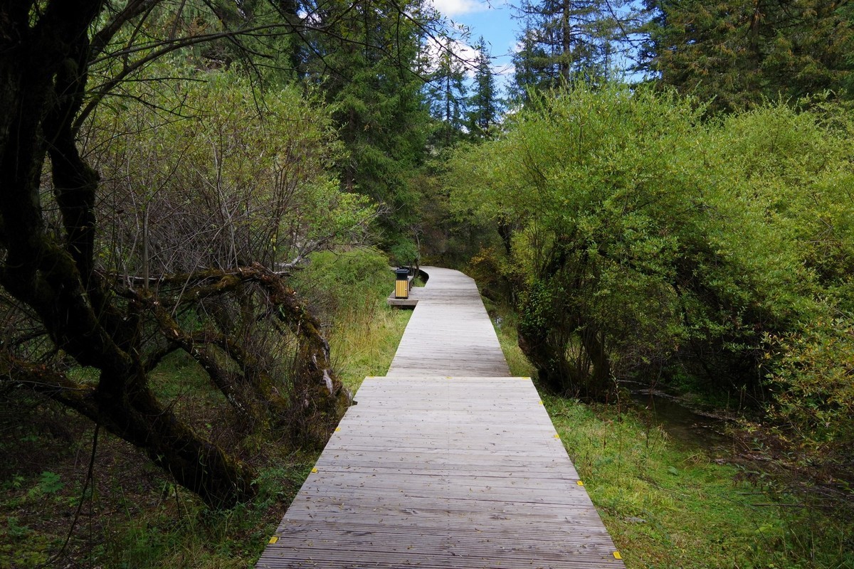 我只是把出去看到的随手记录下来（7）