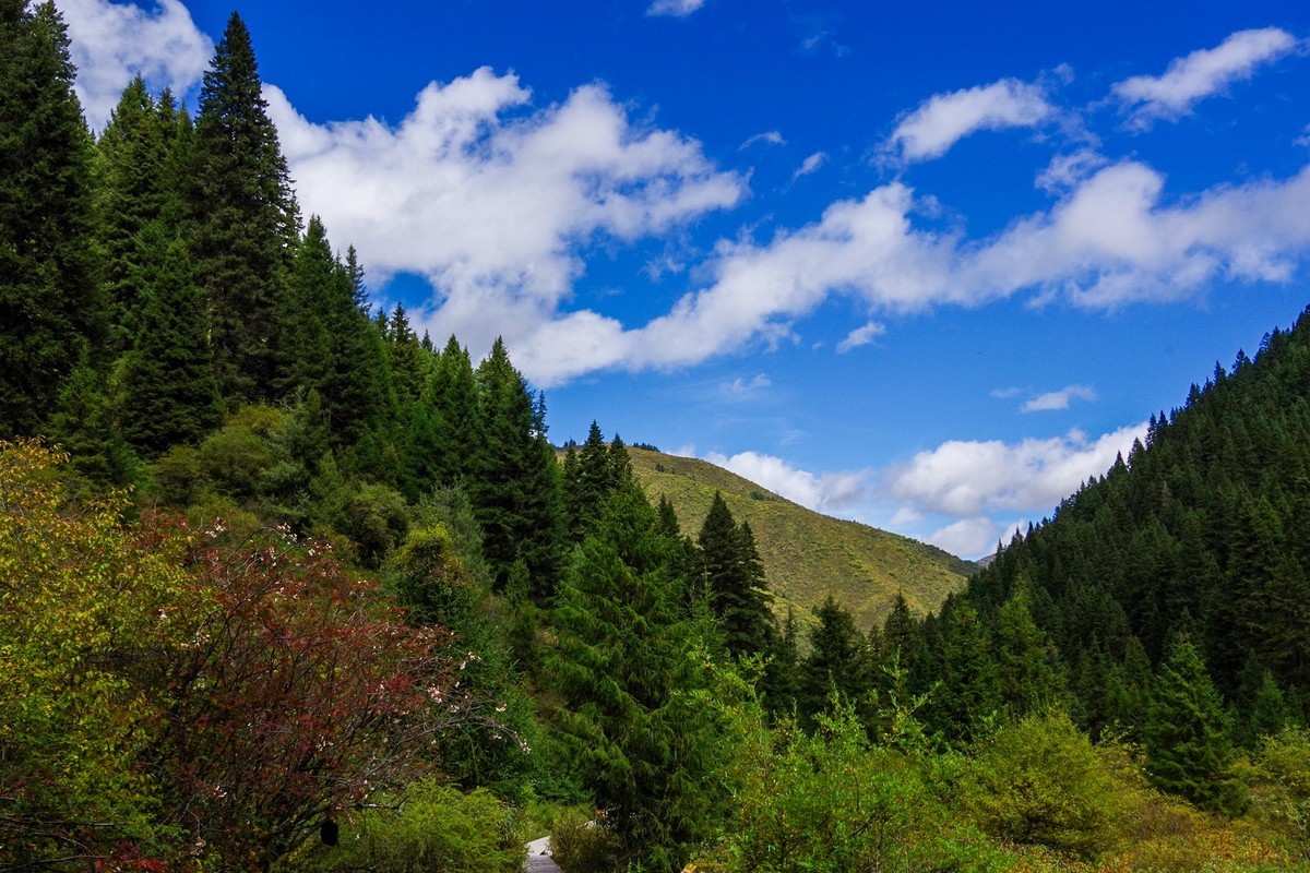 我只是把出去看到的随手记录下来（7）