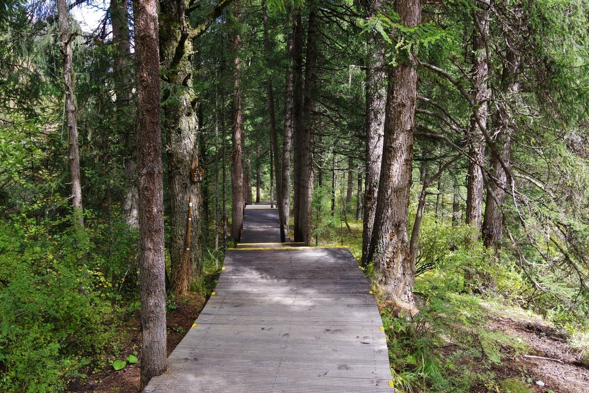 我只是把出去看到的随手记录下来（7）