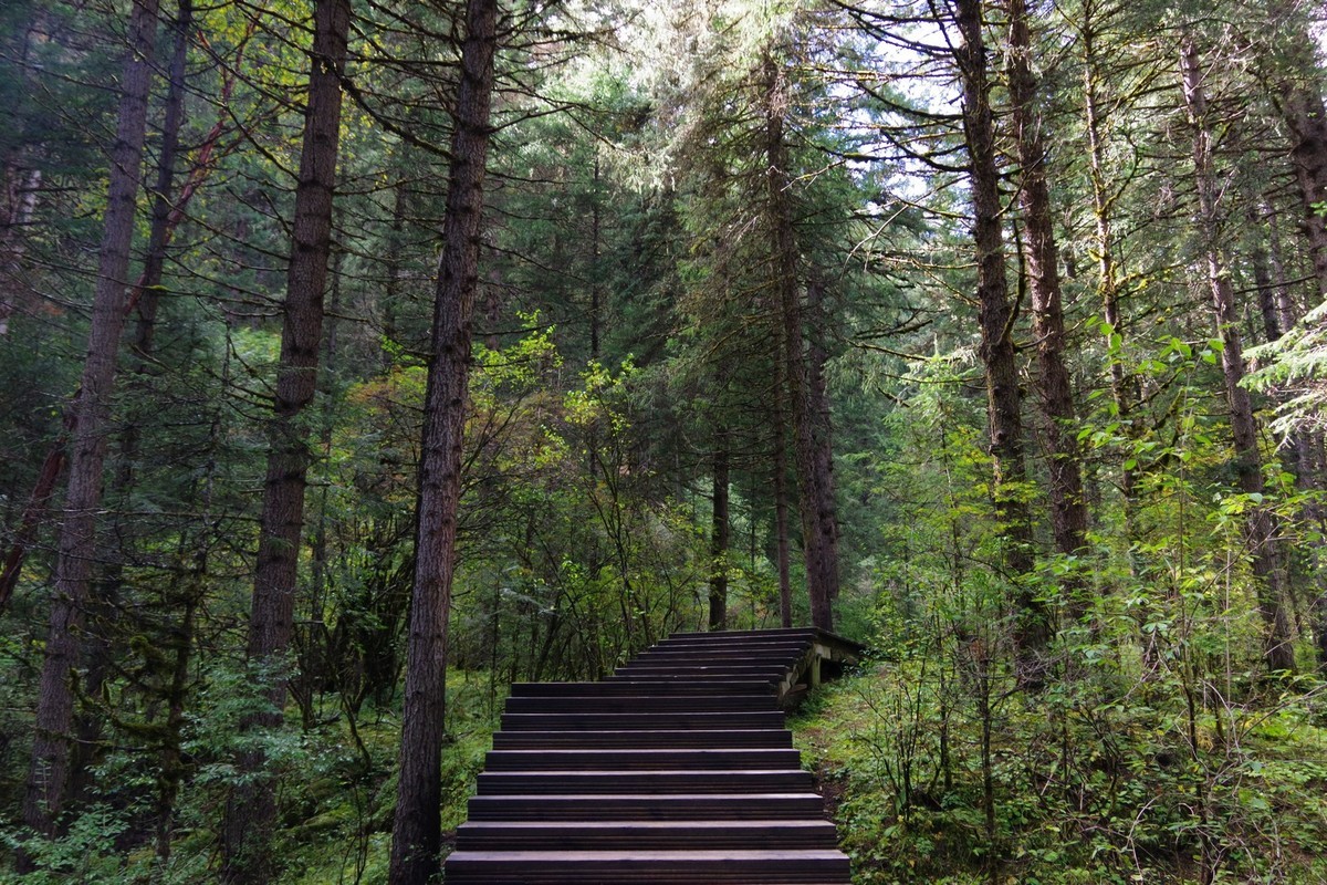 我只是把出去看到的随手记录下来（7）