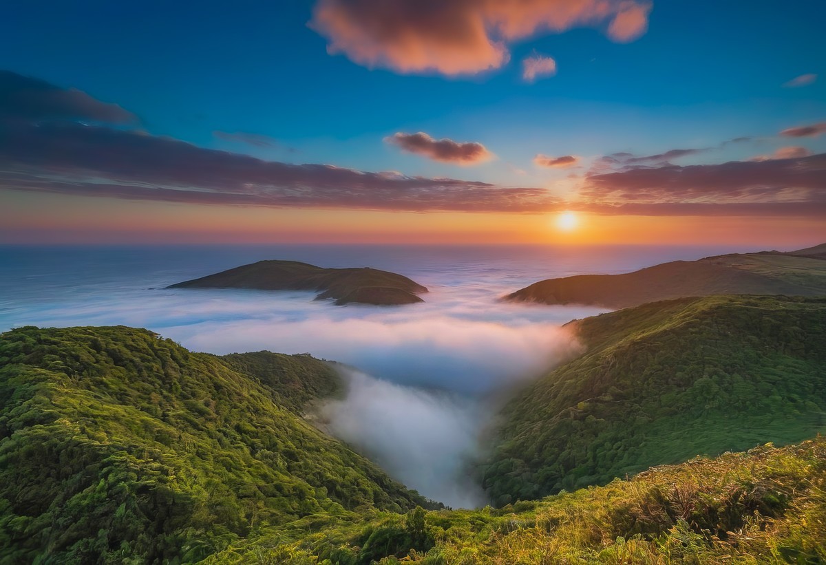 一次心灵的重生