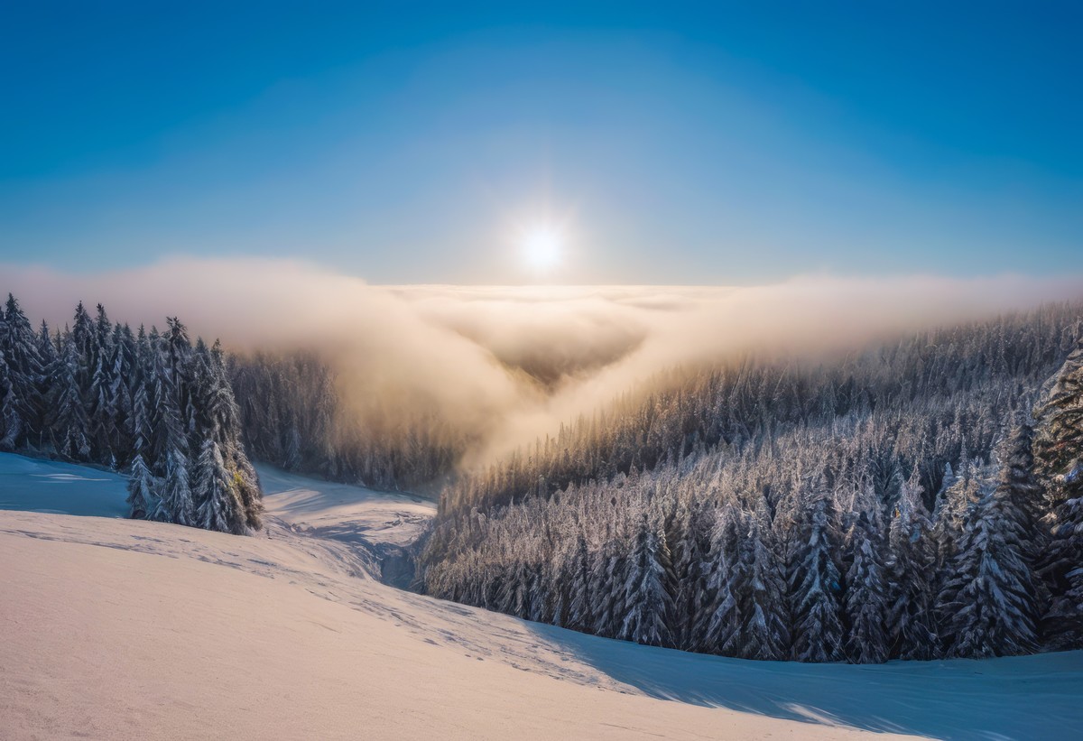 一次心灵的重生