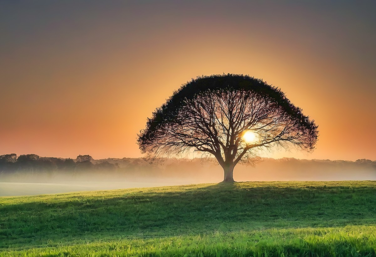 一次心灵的重生