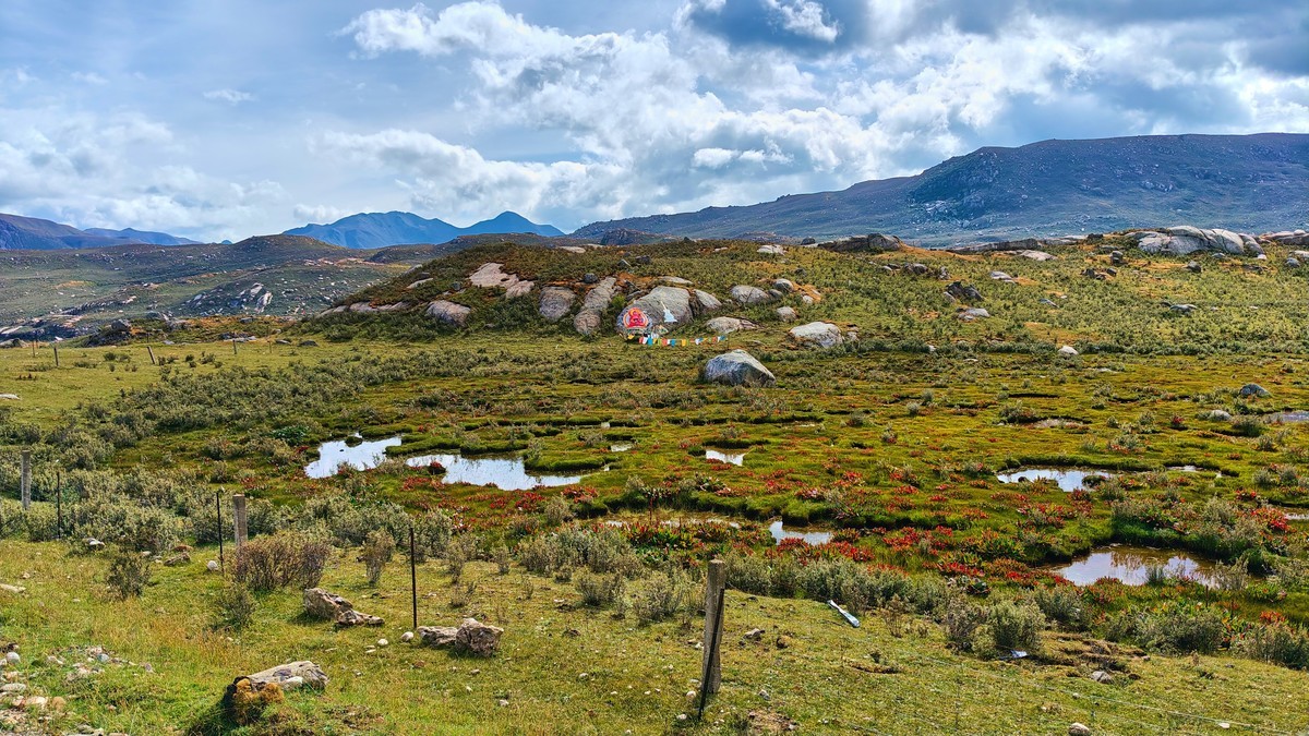 打卡网红甘白路