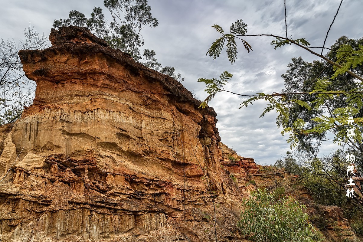 云南元谋 · 物茂土林(2)