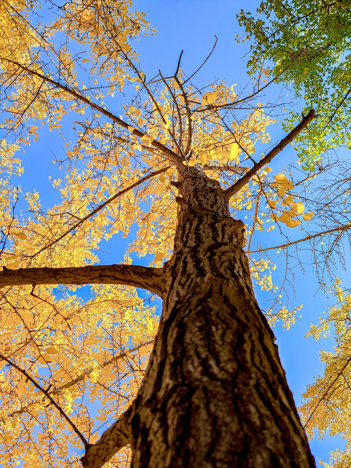 手机游拍20241105《44》