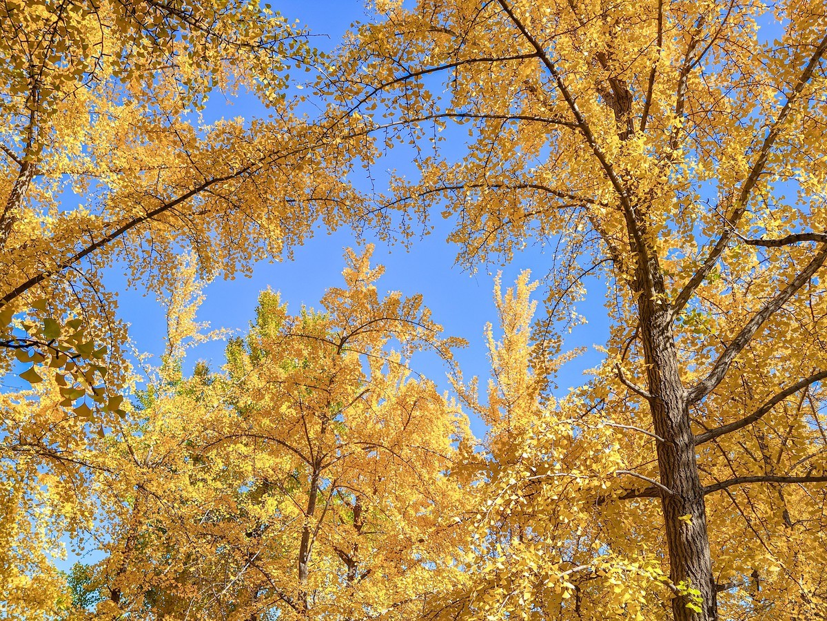 手机游拍20241105《44》