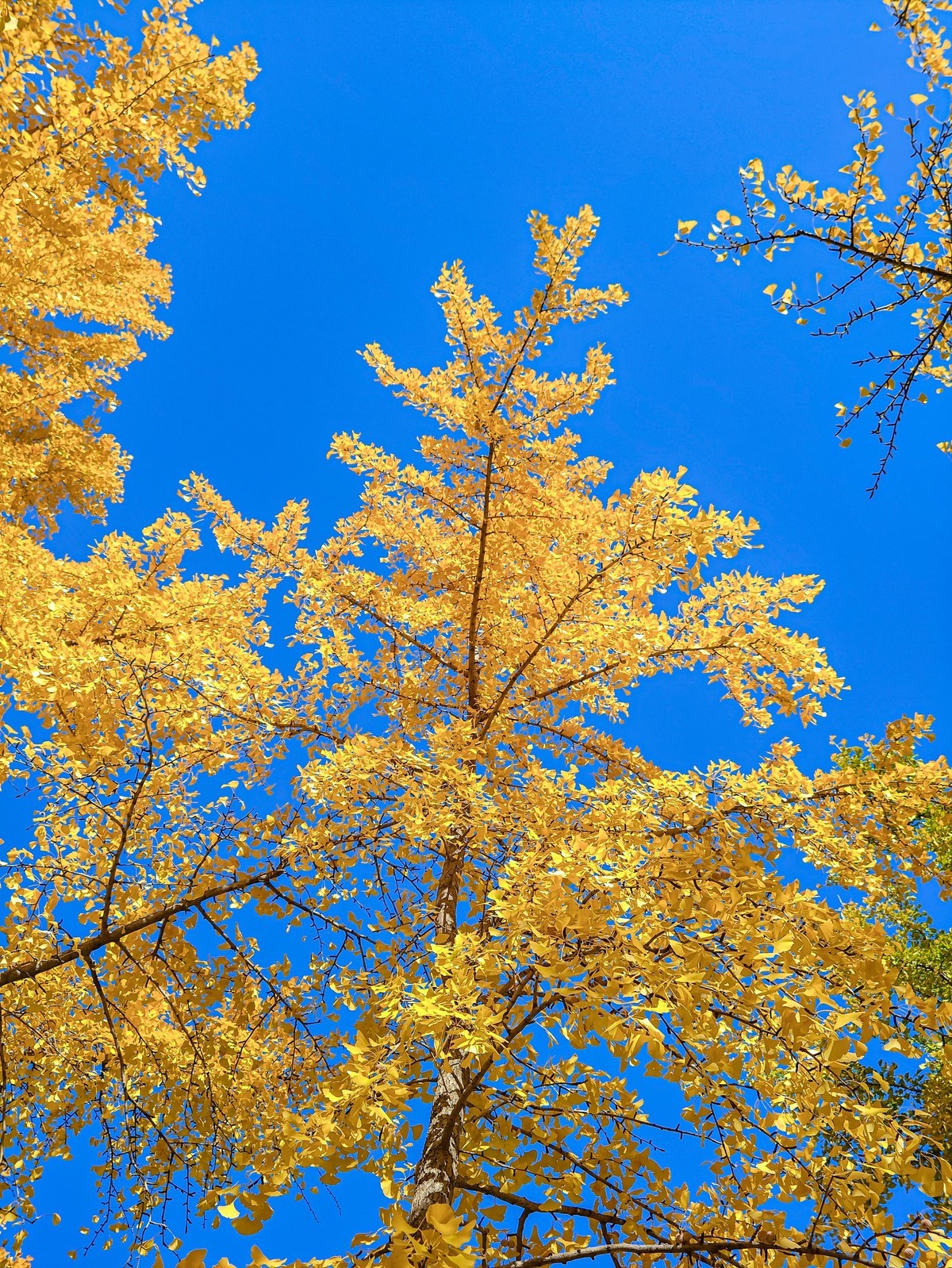 手机游拍20241105《44》