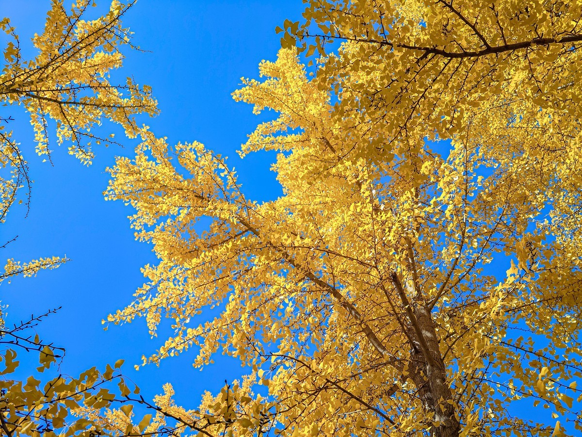 手机游拍20241105《44》