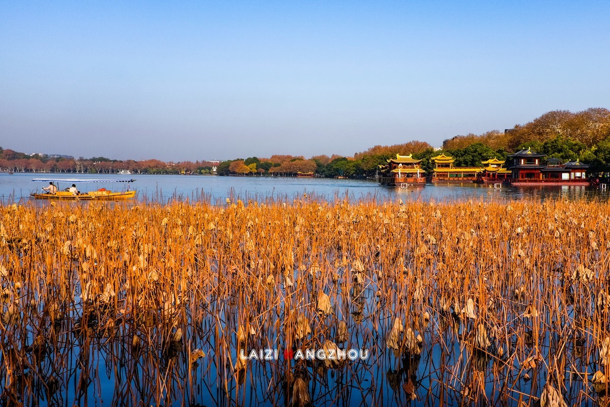 西湖秋色