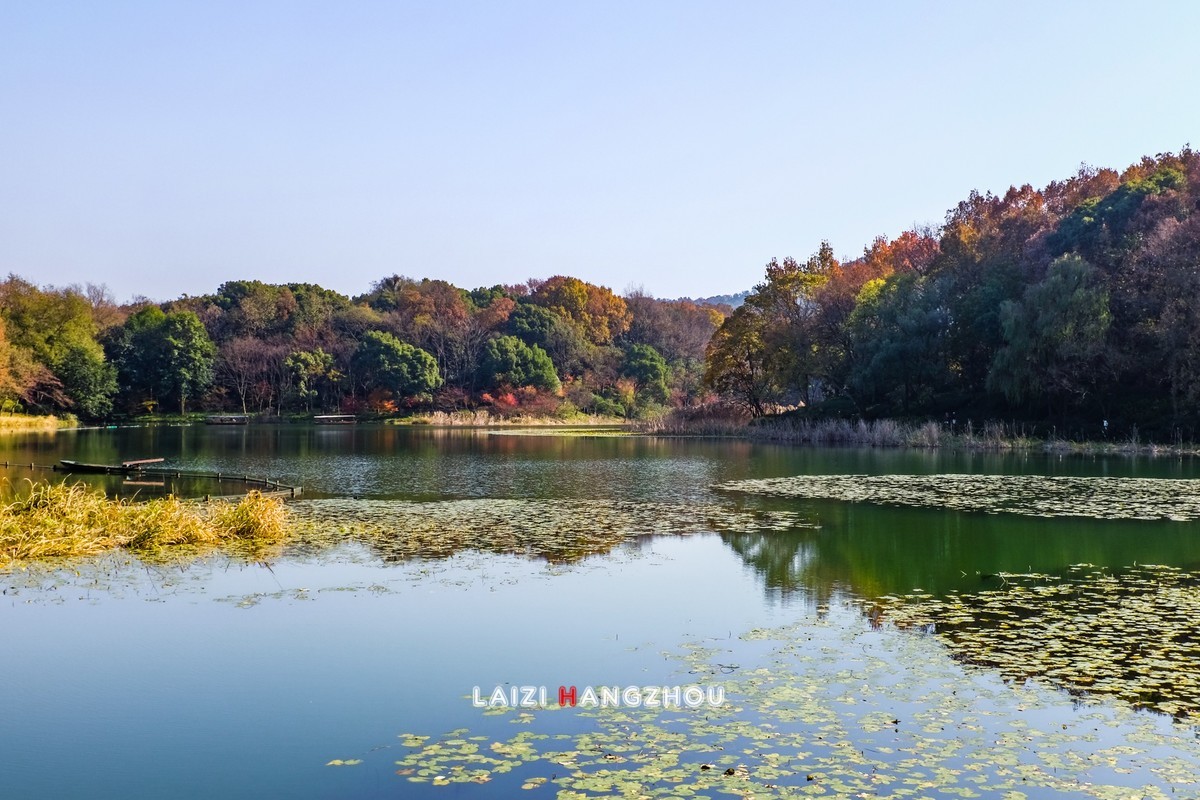 西湖秋色