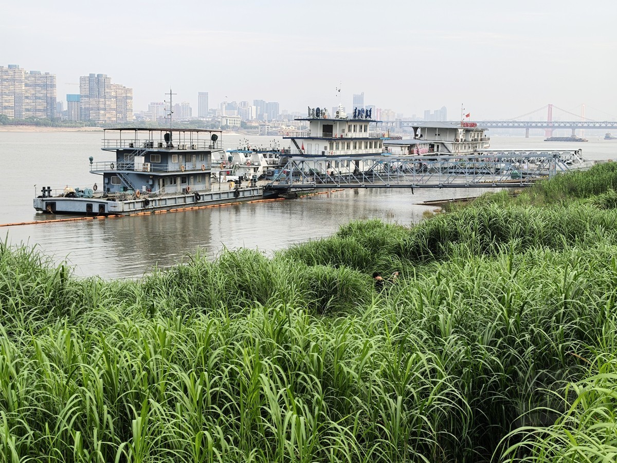 初夏黄昏散步偶拾2——武汉随笔