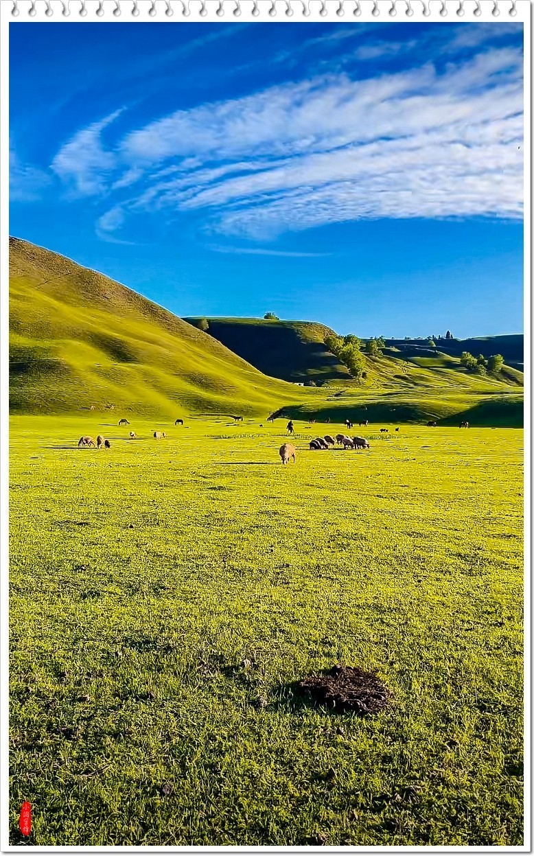 2025年-新疆风光纪实抓拍-0493