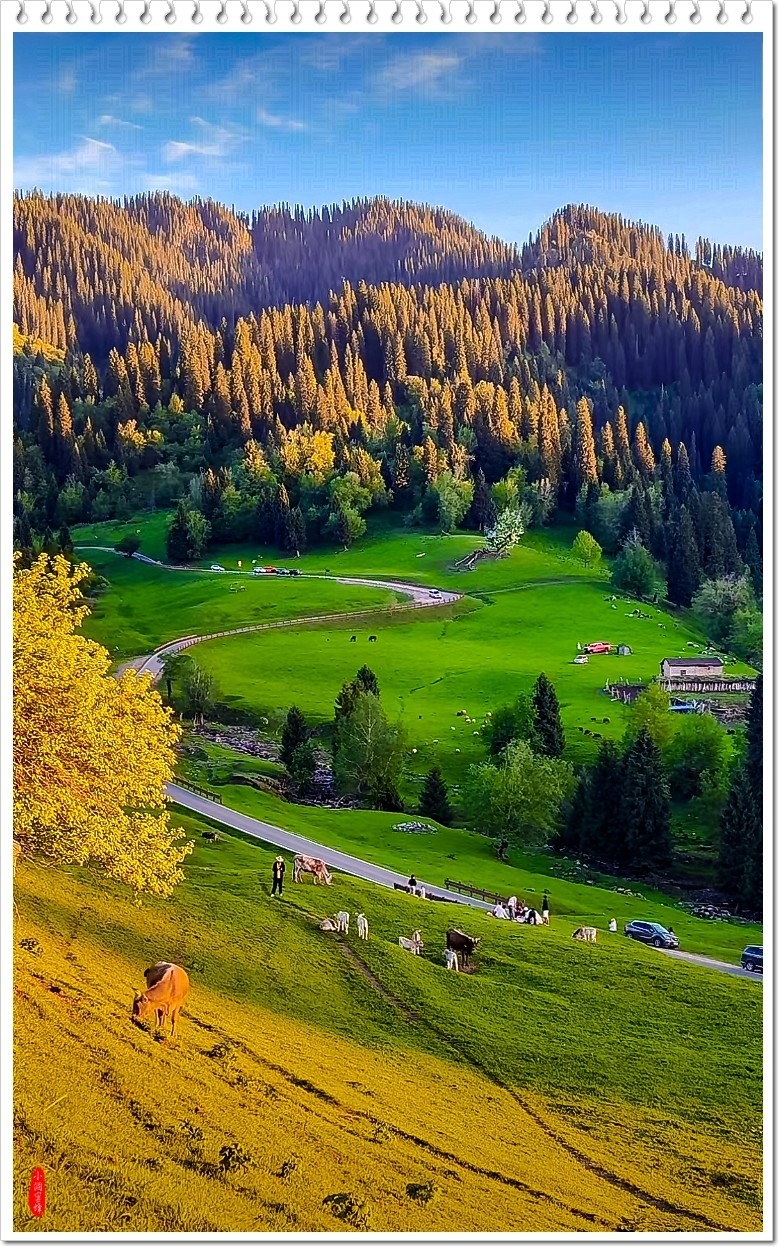 2025年-新疆风光纪实抓拍-0493