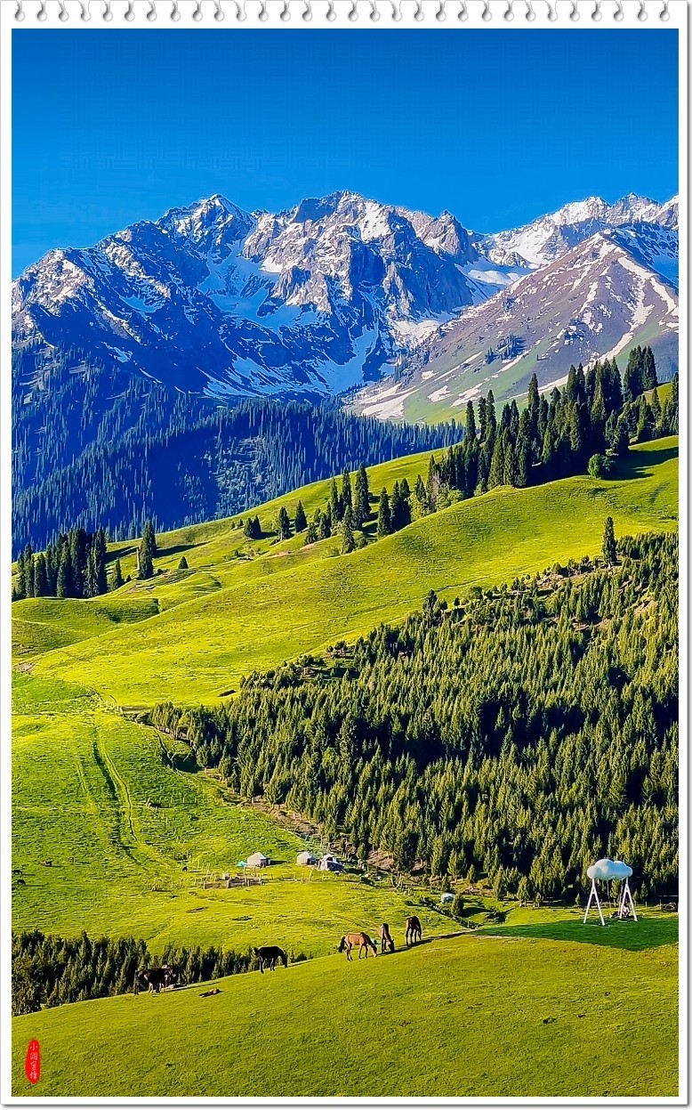 2025年-新疆风光纪实抓拍-0493