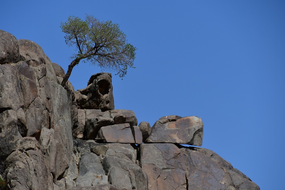 我只是把出去看到的随手记录下来（193）