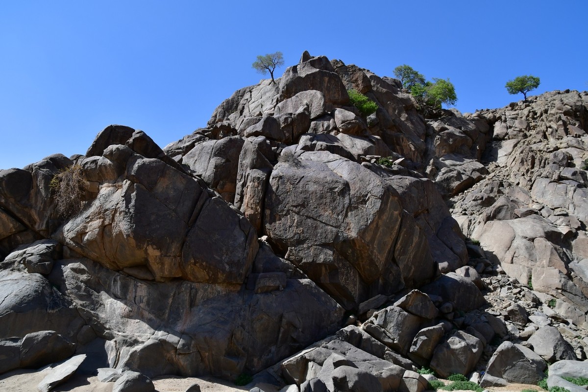 我只是把出去看到的随手记录下来（193）