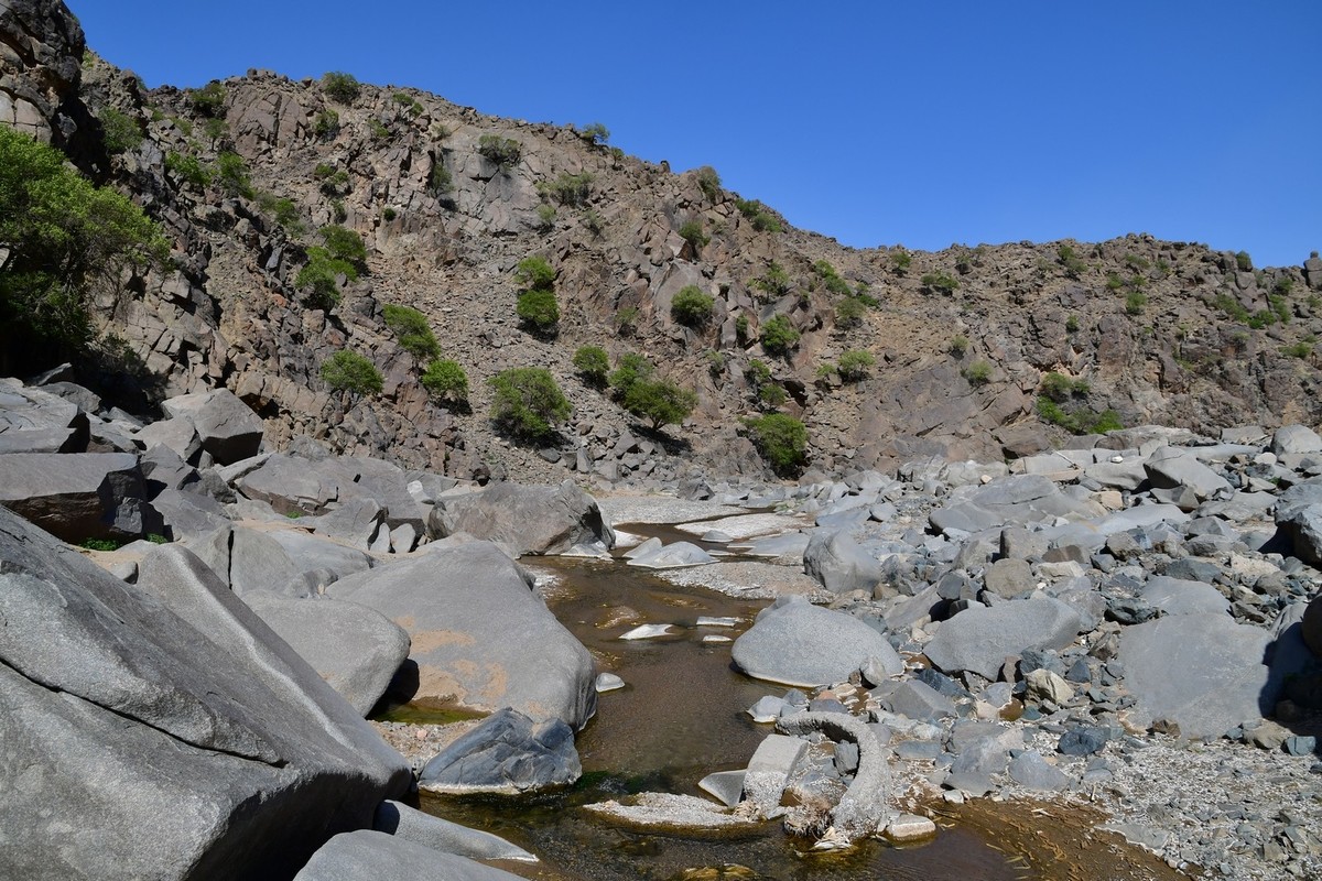 我只是把出去看到的随手记录下来（193）