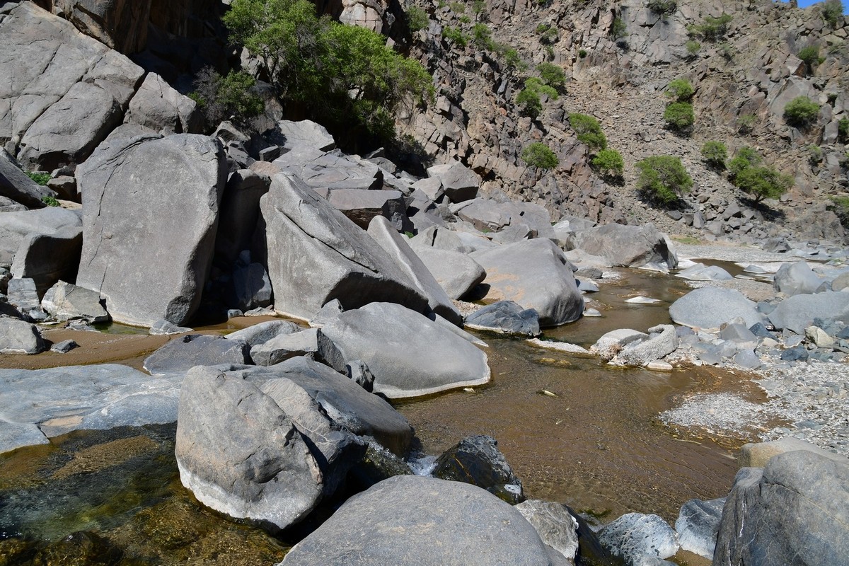 我只是把出去看到的随手记录下来（193）