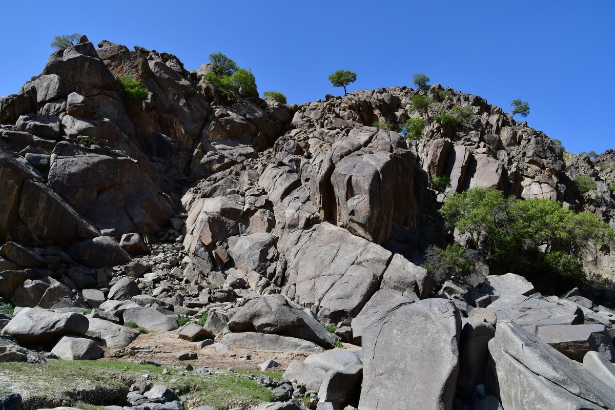 我只是把出去看到的随手记录下来（193）