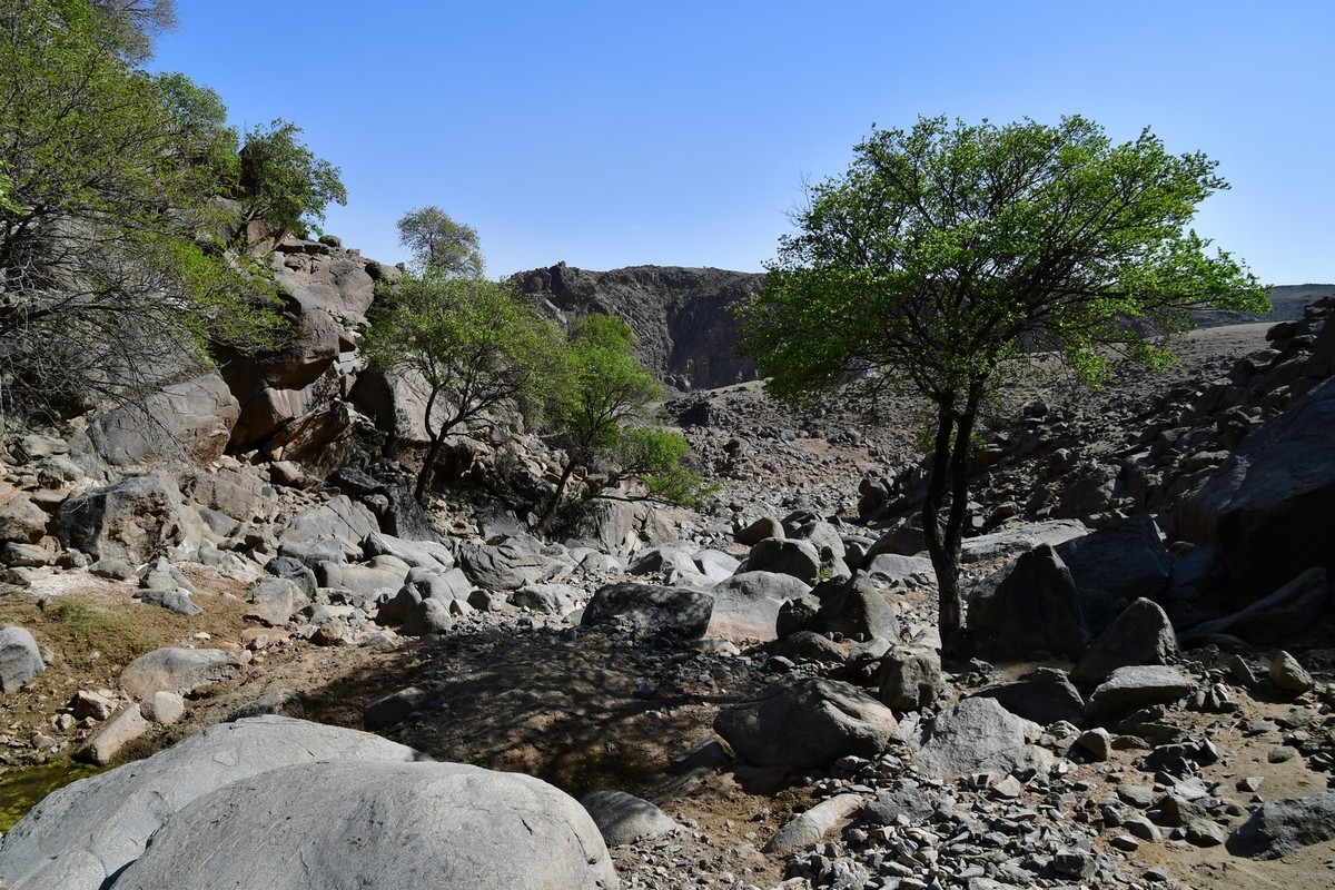 我只是把出去看到的随手记录下来（193）