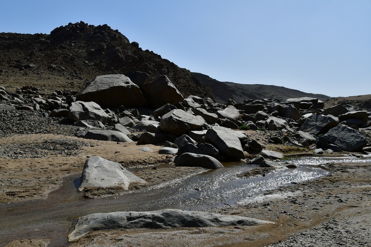 我只是把出去看到的随手记录下来（193）