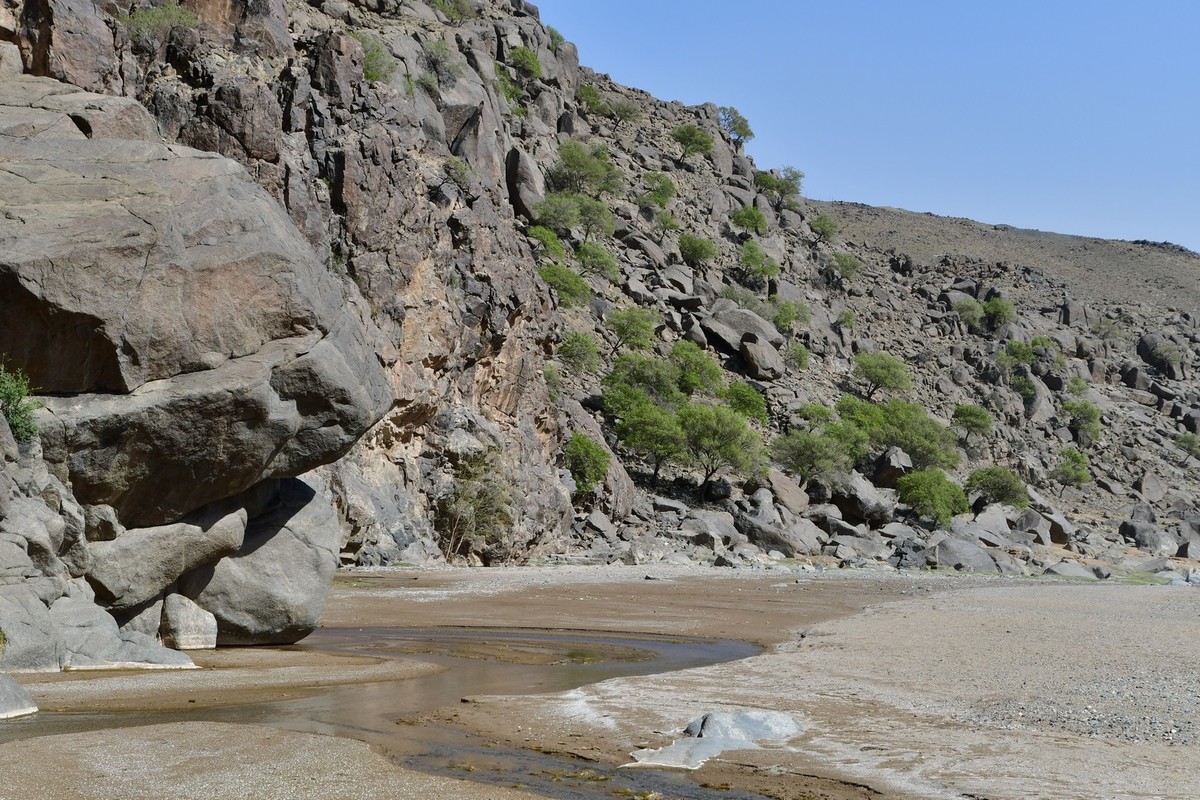 我只是把出去看到的随手记录下来（193）