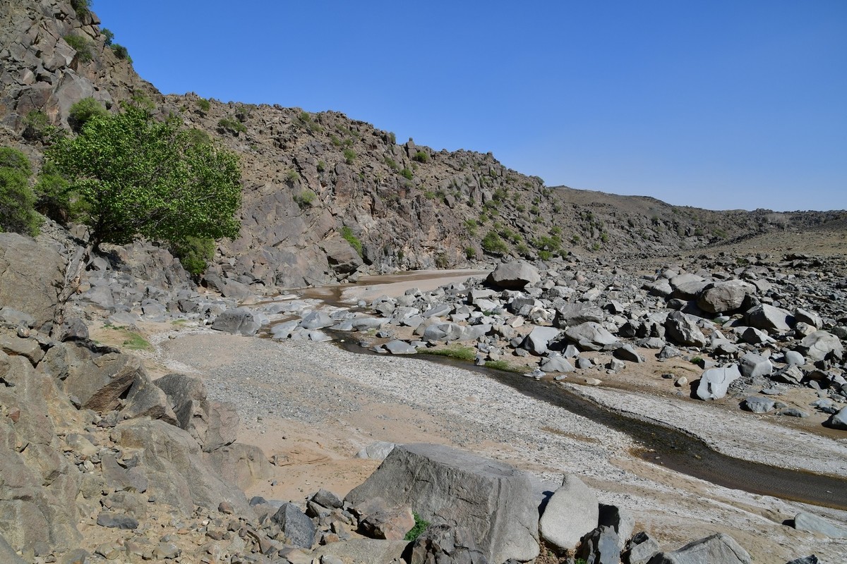 我只是把出去看到的随手记录下来（193）