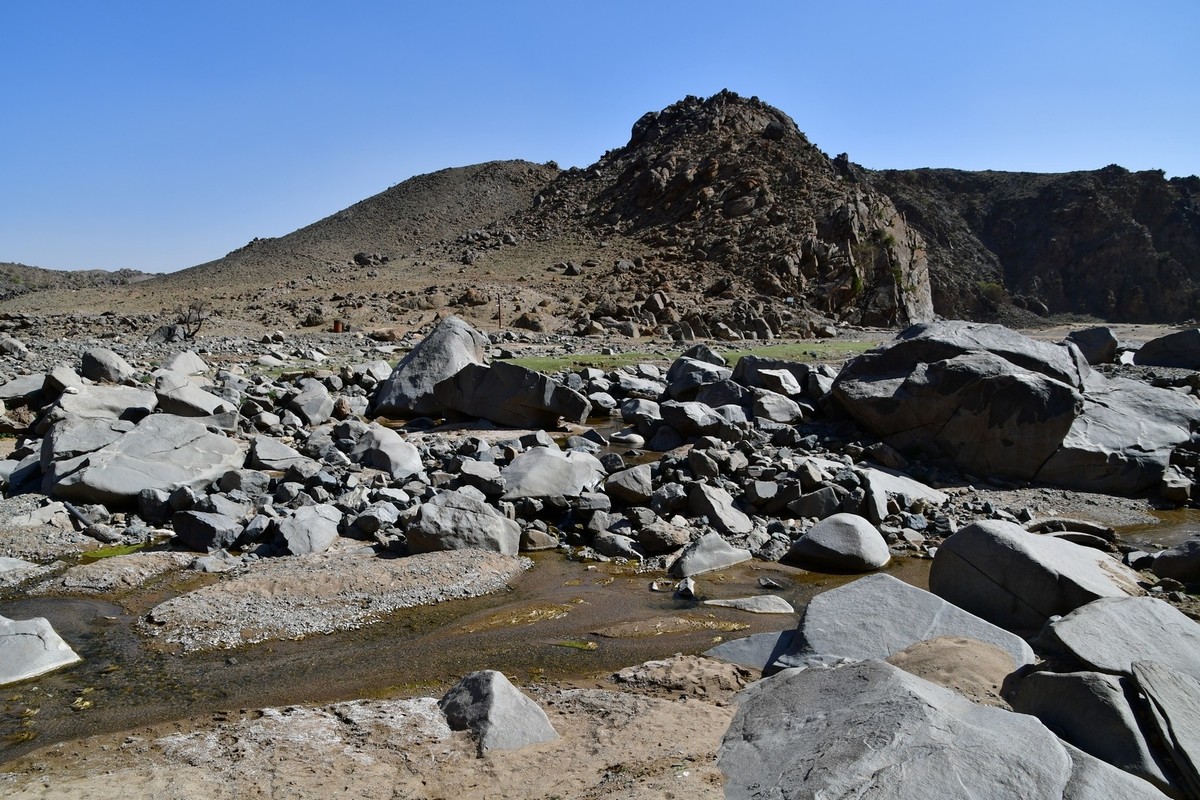 我只是把出去看到的随手记录下来（193）