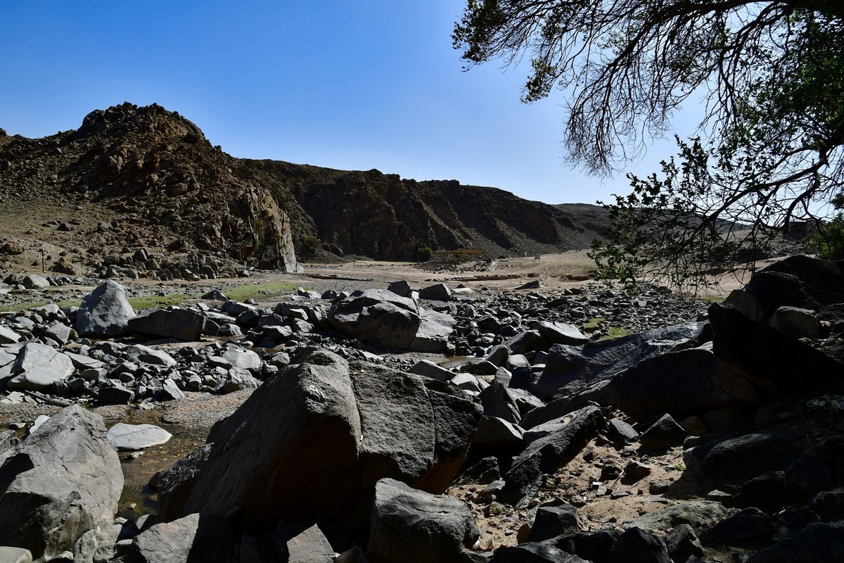 我只是把出去看到的随手记录下来（193）