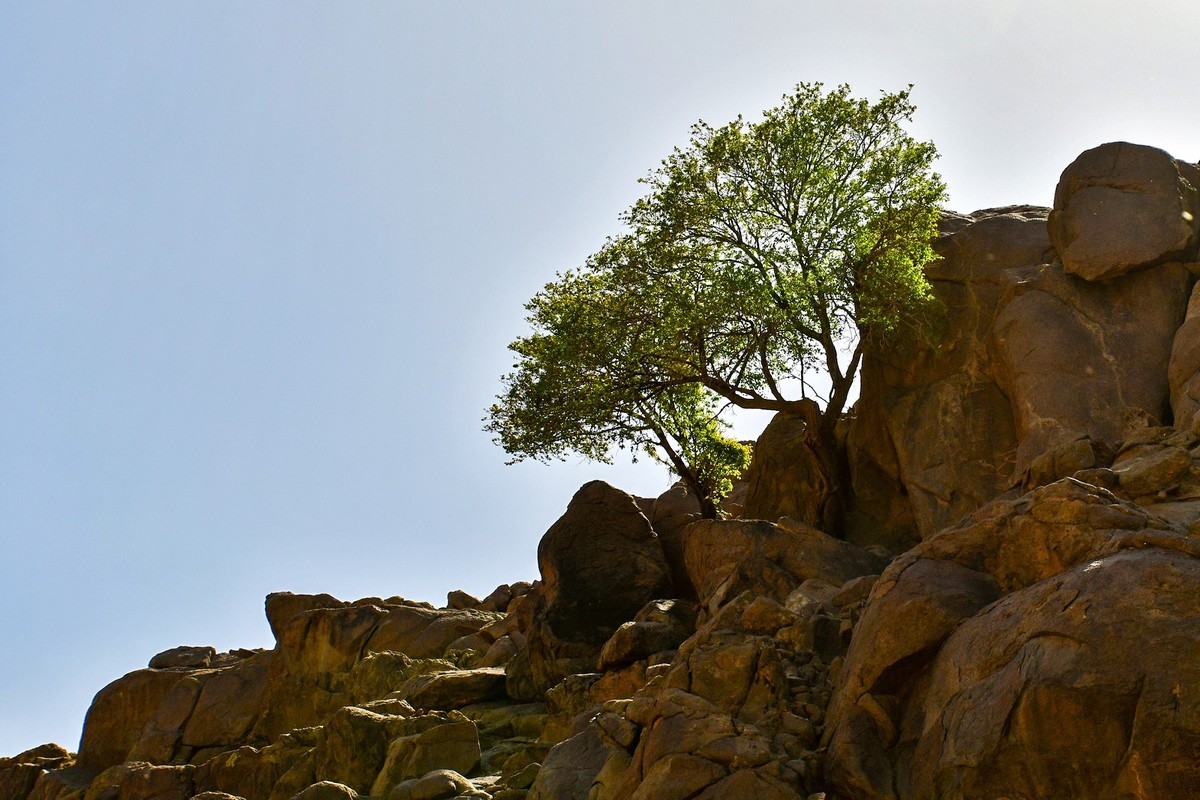 我只是把出去看到的随手记录下来（193）