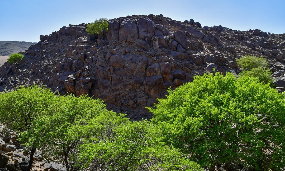 我只是把出去看到的随手记录下来（193）