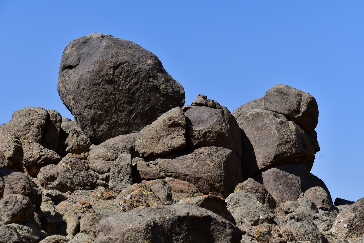 我只是把出去看到的随手记录下来（193）