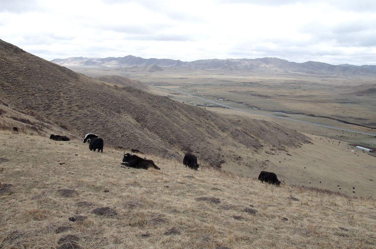 黄河九曲第一湾--续