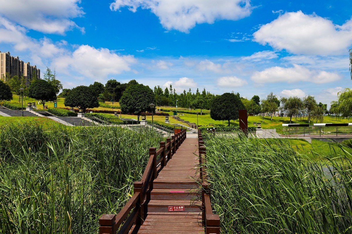 松雅湖湿地公园--5-中关村在线摄影论坛