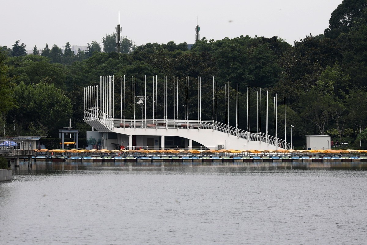 高温天公园观荷人