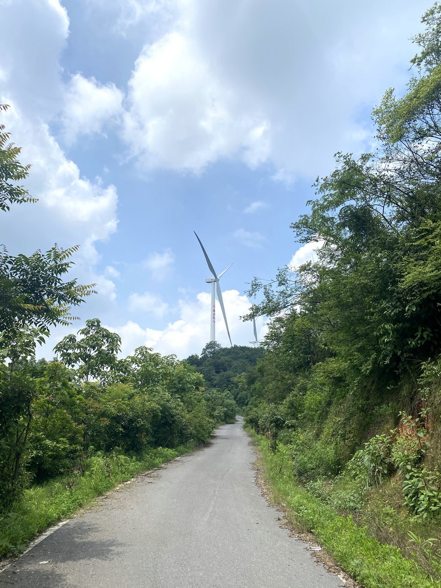 漫步星城 走街串巷（264）果然多家庭农场