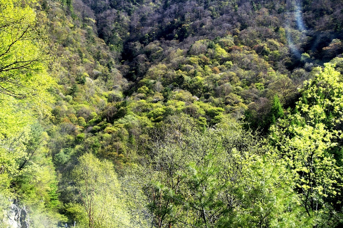 行摄太白山【3】