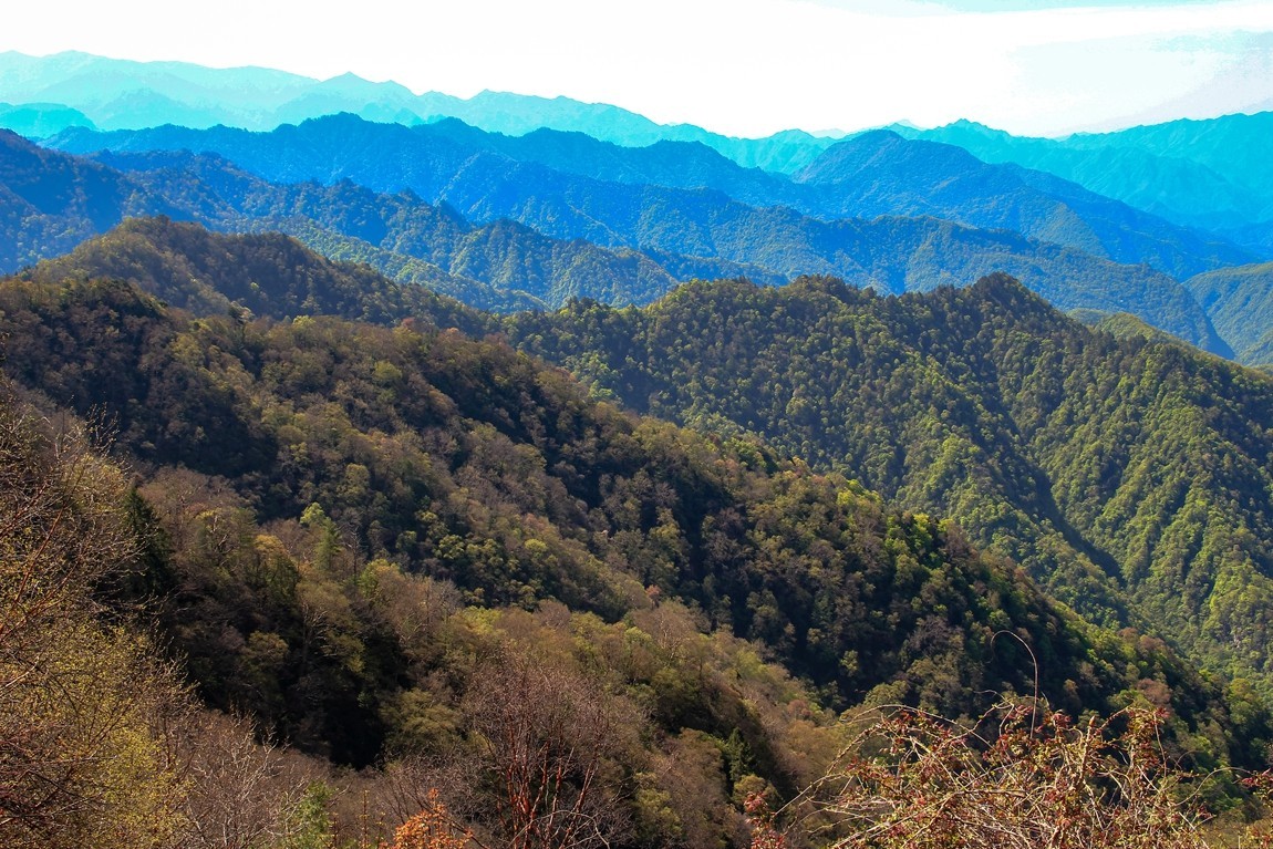 行摄太白山【3】