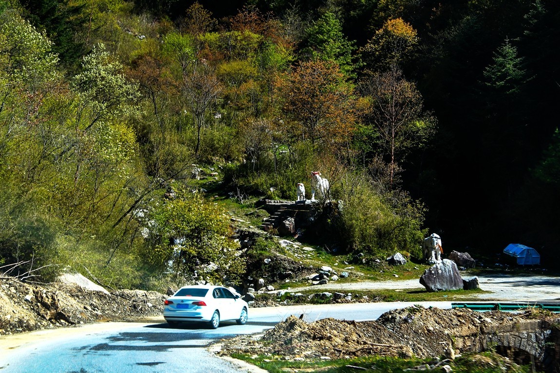 行摄太白山【3】