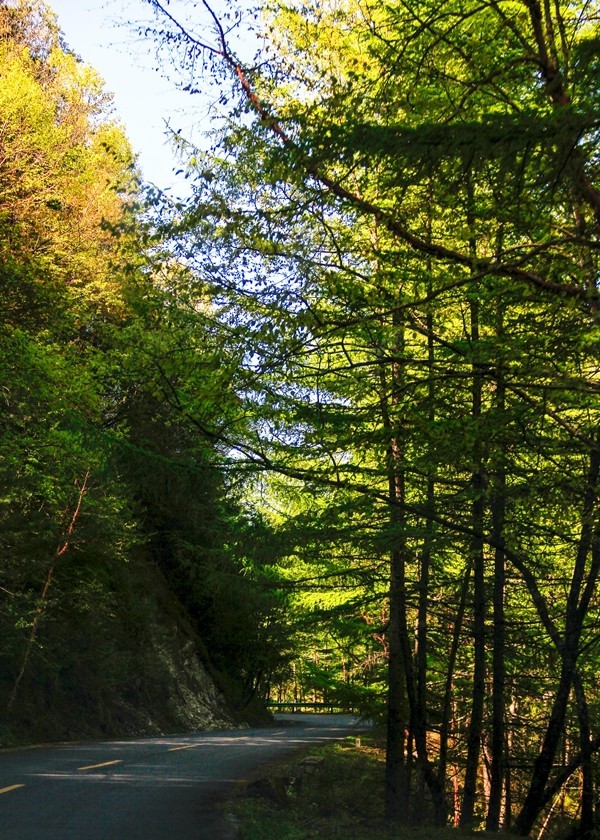 行摄太白山【3】