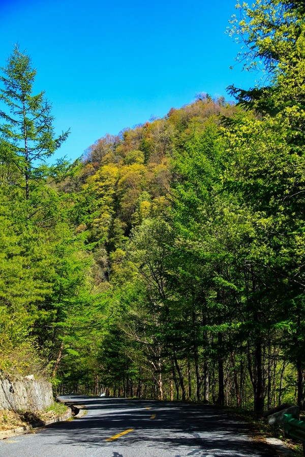 行摄太白山【3】