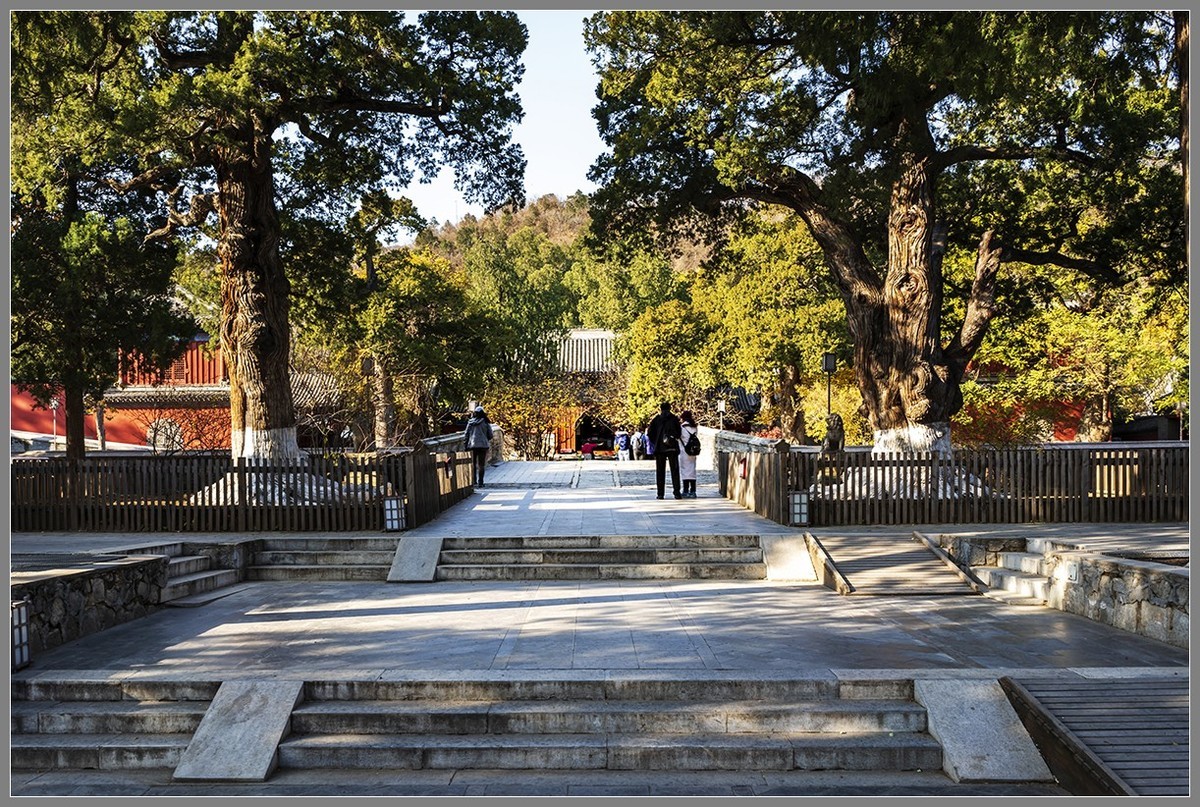 西山名剎“大觉寺”随拍