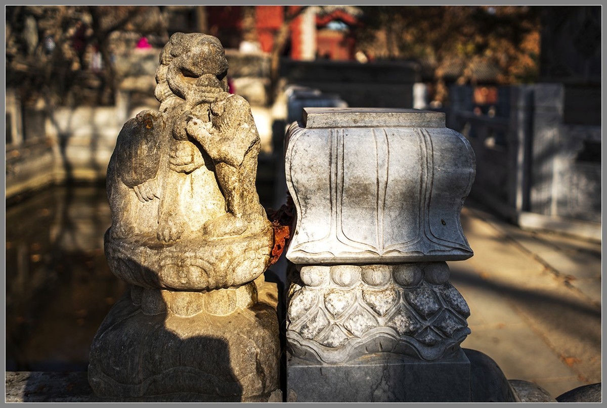 西山名剎“大觉寺”随拍