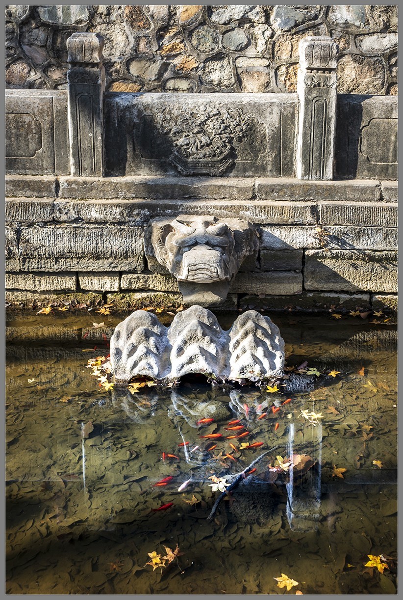 西山名剎“大觉寺”随拍