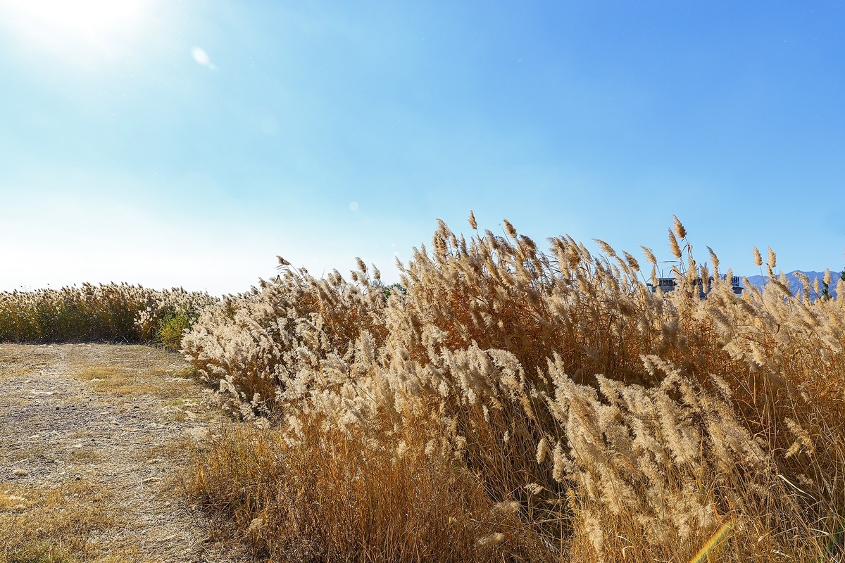 旅游记录：内蒙古 · 呼和浩特 · 哈素海