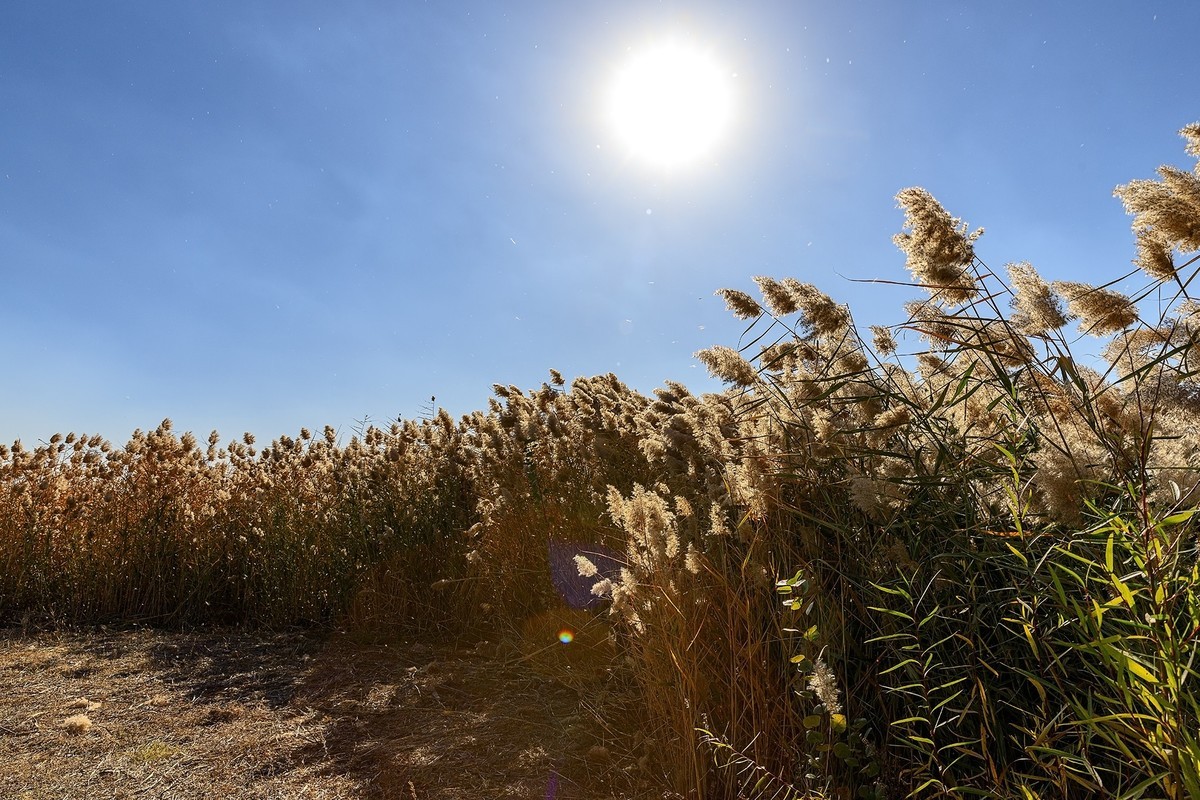 旅游记录：内蒙古 · 呼和浩特 · 哈素海