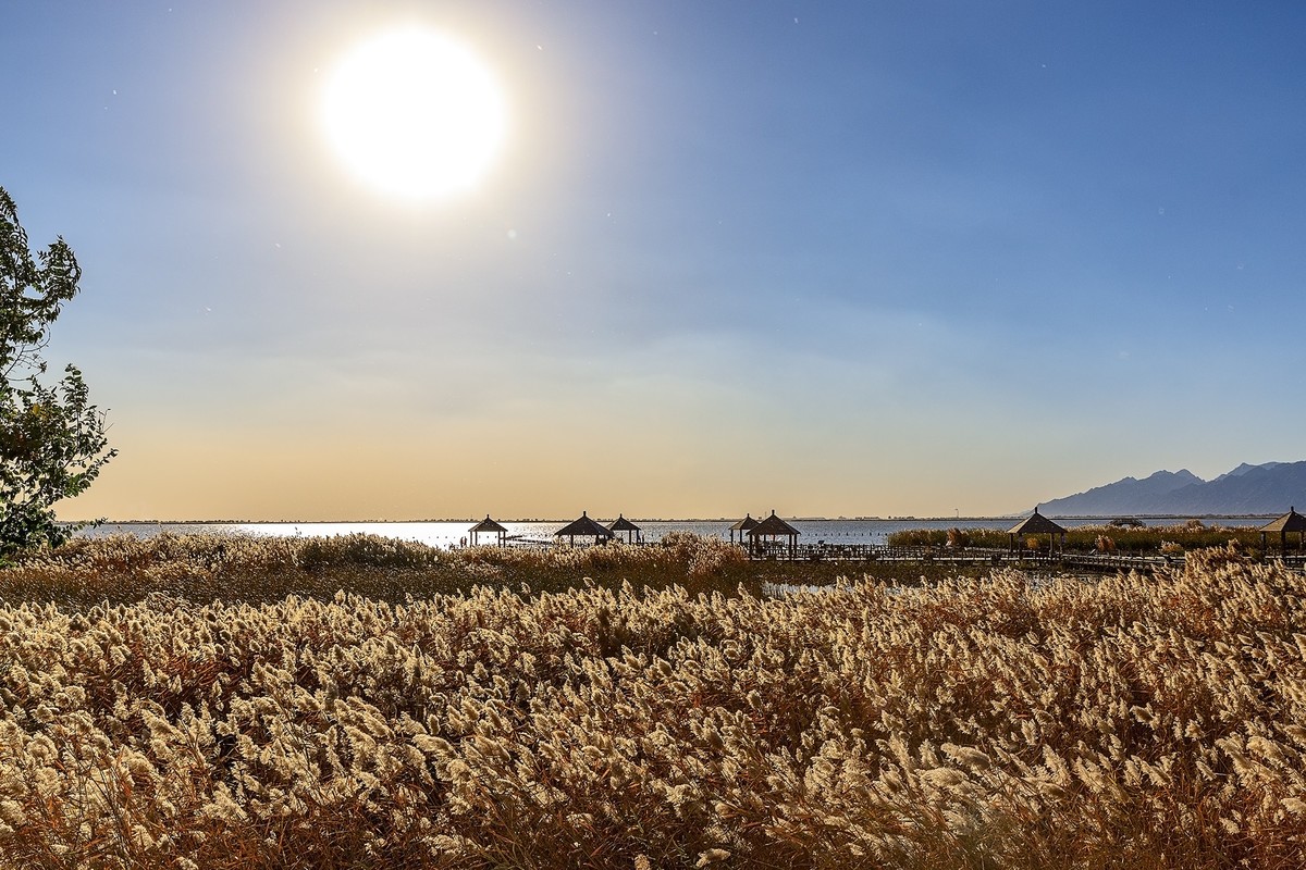 旅游记录：内蒙古 · 呼和浩特 · 哈素海